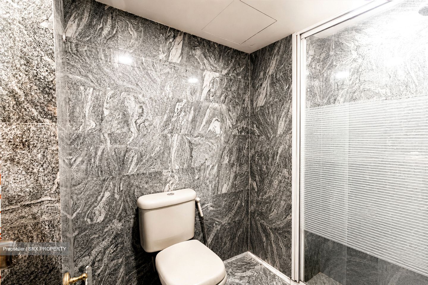 International Plaza (D2), Apartment #557823571